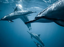 MK体育下载：让热爱随时随地点亮每一场比赛